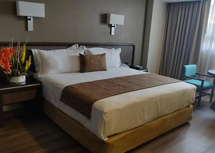 Metropol 4* México DF